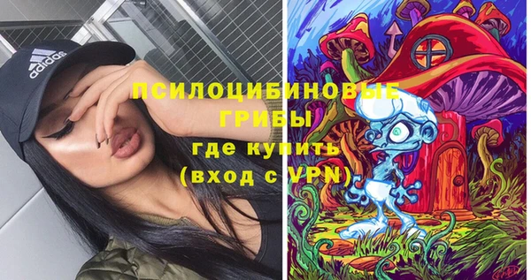 PSILOCYBIN Алексин