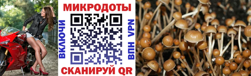 где найти   Елец  Галлюциногенные грибы прущие грибы 